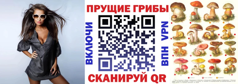 Галлюциногенные грибы Cubensis  блэк спрут зеркало  Пустошка 