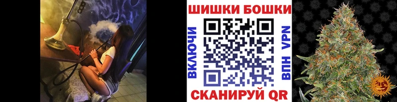 как найти закладки Пустошка Шишки марихуана ГИДРОПОН